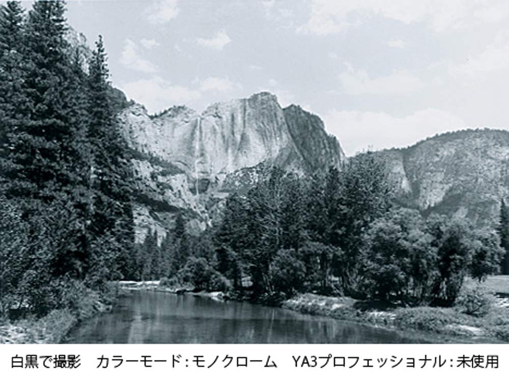 よう Amazon.co.jp: Kenko レンズフィルター MC YA3 プロフェッショナル
